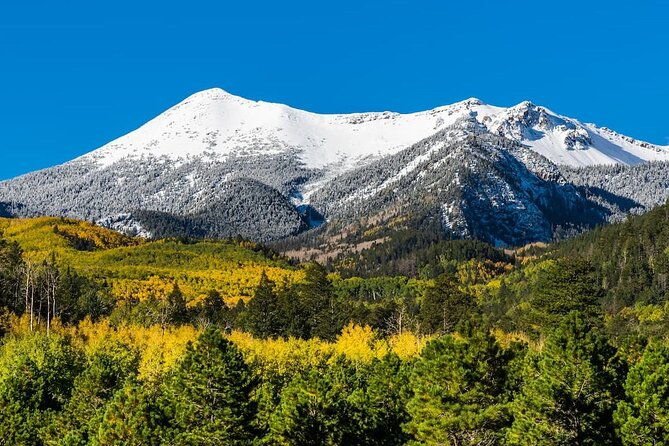 custom-private-flagstaff-day-tour-from-phoenix
