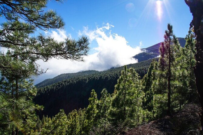 custom-private-full-day-tour-into-the-heart-of-tenerife-2