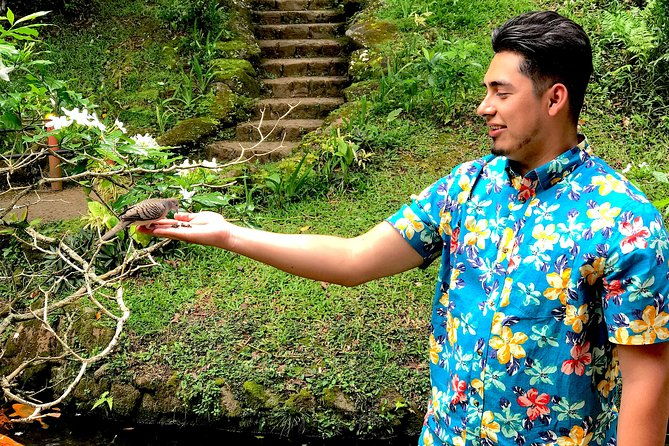 custom-private-multi-day-tours-on-the-island-of-oahu-hawaii