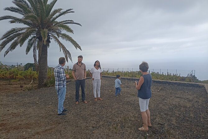custom-private-tenerife-full-island-car-tour