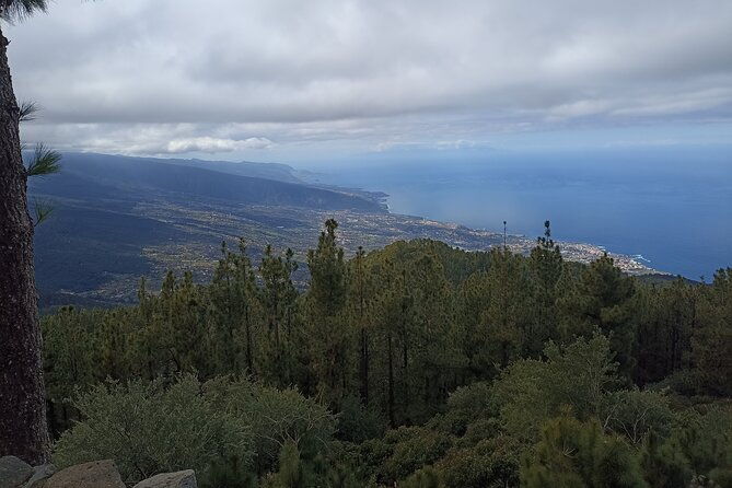 custom-private-tenerife-volcano-car-tour