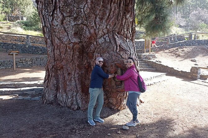 custom-private-tenerife-volcano-car-tour