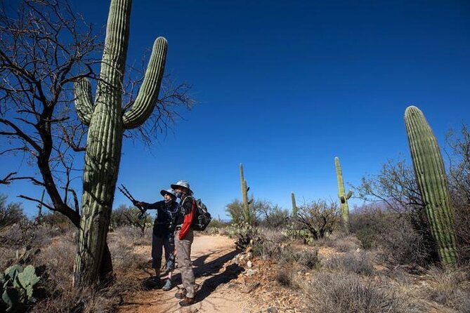 custom-private-tucson-day-tour-from-phoenix