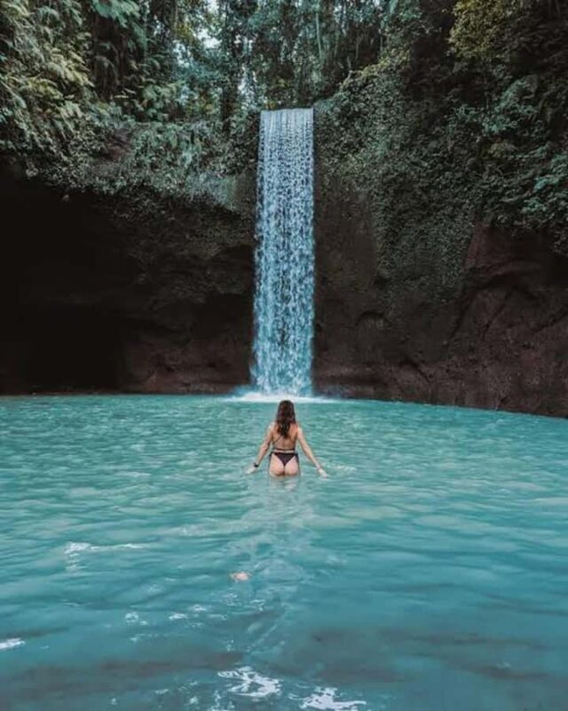 Custom Private Ubud Tour with Flexible Options & Tickets - An In-Depth Look at the Ubud Tour Experience