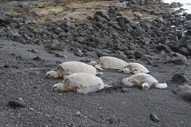 custom-volcanoes-national-park-tour-with-extra-stops