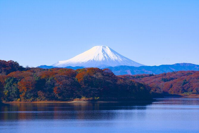 customizable-10-hour-private-tour-from-tokyo-to-mount-fuji