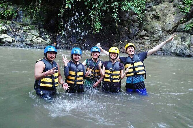 Customizable Bali Private Car Hire with Driver - Introduction