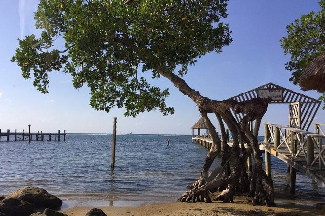 customizable-best-of-roatan-island-tour-in-honduras