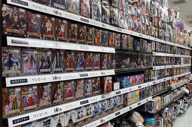 Customizable car tours in Tokyo - Who Would Love This Tour?