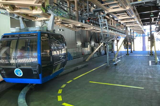 customizable-hakone-mt-fuji-private-day-trip-eng-speaking-driver