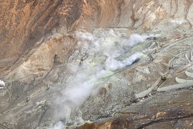 customizable-hakone-mt-fuji-private-day-trip-eng-speaking-driver
