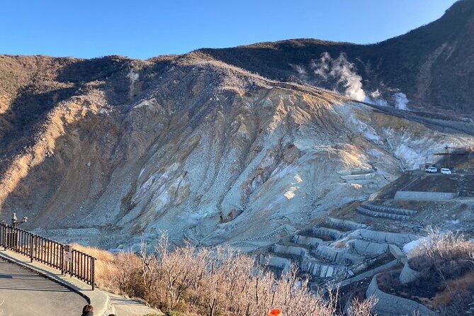 customizable-hakone-mt-fuji-private-day-trip-eng-speaking-driver