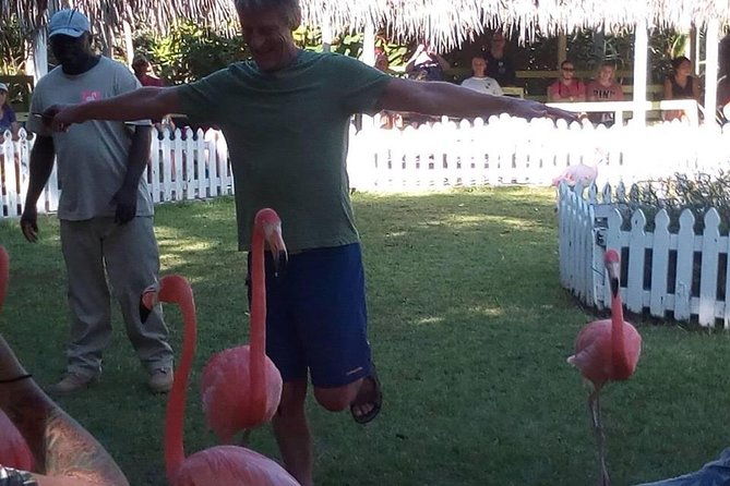 customizable-half-a-day-private-bus-tour-in-the-bahamas