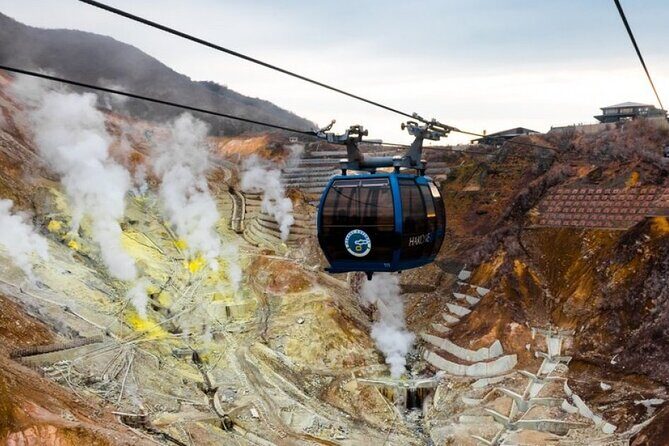 Customizable Private Full Day Hakone Tour by car - What Makes This Tour a Great Choice