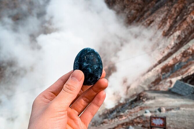 Customizable Private Full Day Hakone Tour by car - Who Is This Tour Best For?