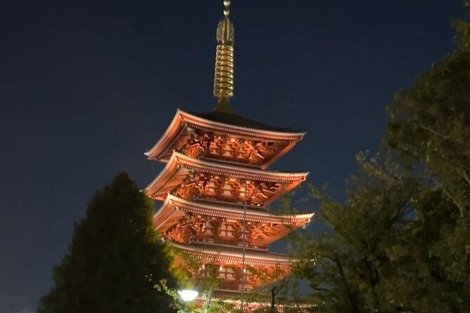 customizable-private-tokyo-trip-with-an-english-speaking-driver