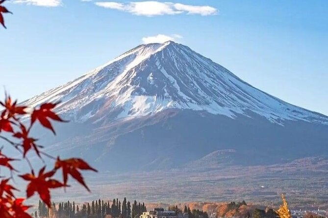 customizable-private-tour-in-mt-fuji-from-tokyo-by-car-or-van