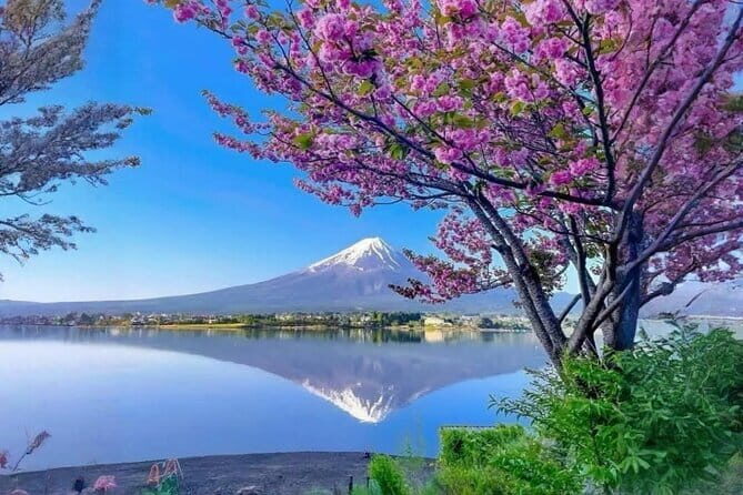 Customizable Tokyo Tour - What Reviewers Say (Based on the limited reviews)