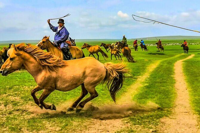 Customized 12 Day Monglia Private Family Trip with Horse Riding - Day 6: Jargal Jiguur Hot Springs