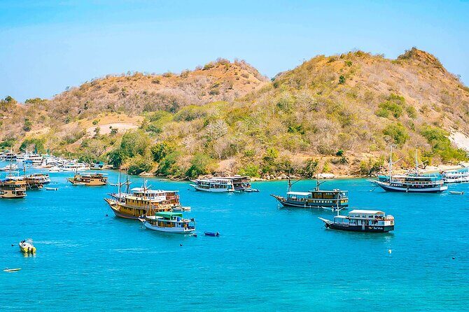 Customized 12 Days Indonesia Family Tour from Jakarta - Value and Considerations