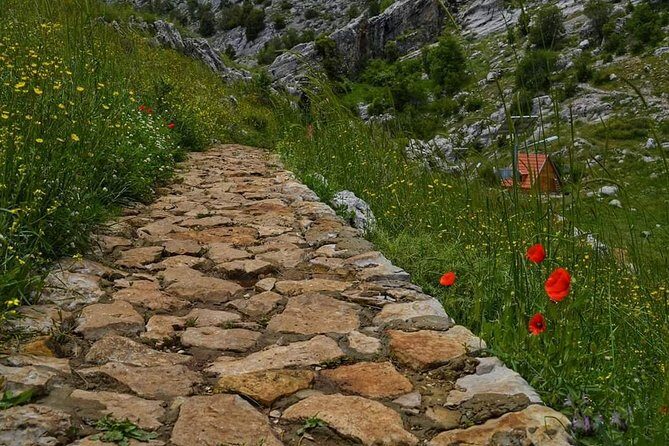 Customized as you like day tour in lebanon anywhere from 1-6 riders same price - Overview of the Tour Experience