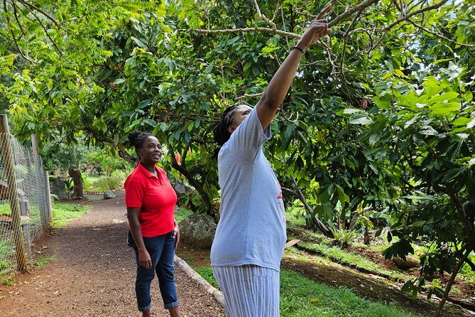 customized-grenada-island-tour