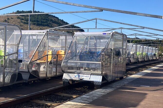 Customized Private Day Tour in Jeju - Key Points