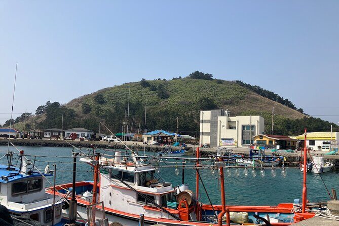 Customized Private Day Tour in Jeju - What’s Included and What’s Not