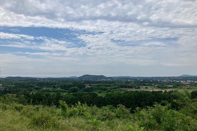 Customized Private Day Tour in Jeju - Who Should Consider This Tour?