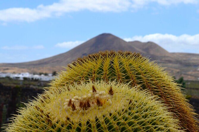 Customized Private Tours of Lanzarote island - Authentic Experiences & Insider Tips