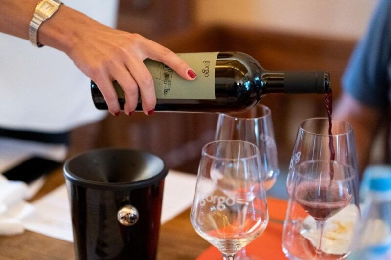 custoza-organic-wine-tasting-with-vineyard-and-cellar-tour