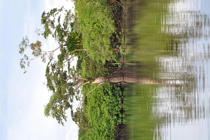 cuyabeno-4-day-jungle-tour