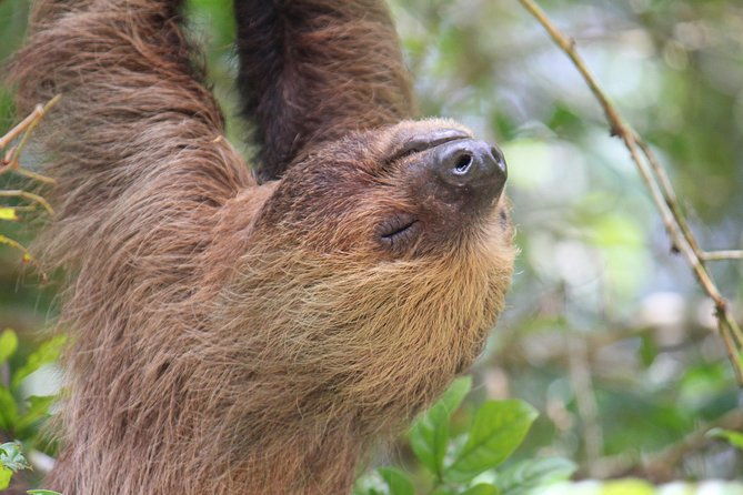 cuyabeno-4-day-jungle-tour