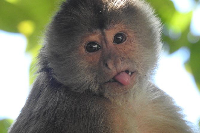 cuyabeno-tucan-lodge