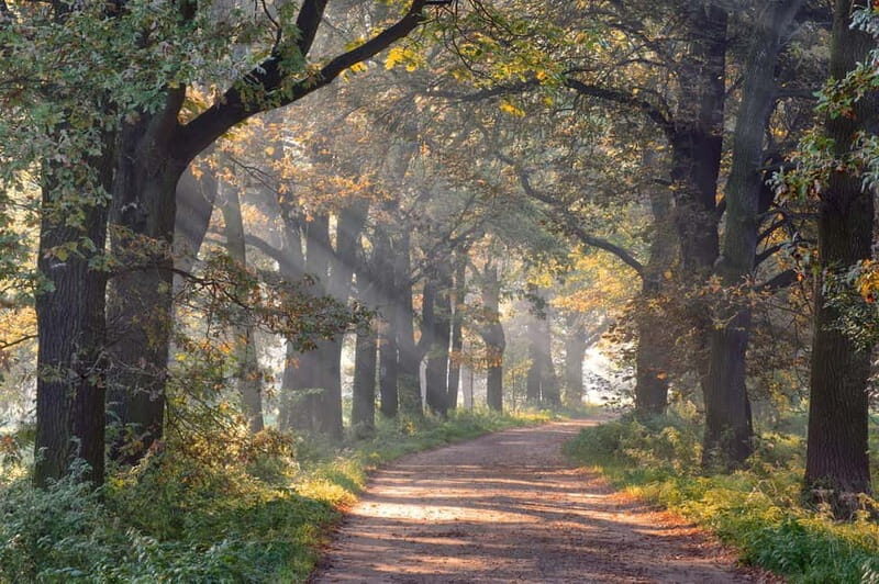 Cycle tour: Guided cycle tour with yoga in the great outdoors - Key Points