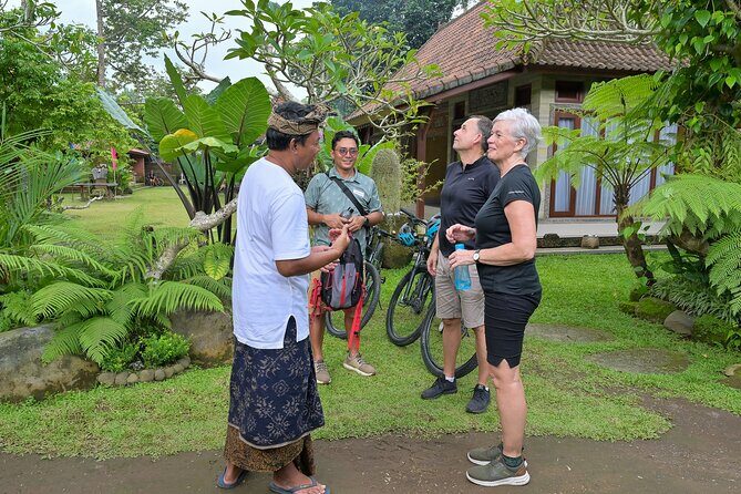 Cycling and Cooking Class in Ubud - The Sum Up