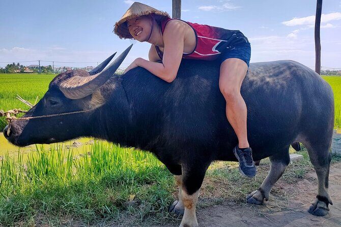 Cycling, Buffalo Ride and Basket Boat Tour in Hoi An - Who Should Consider This Tour?