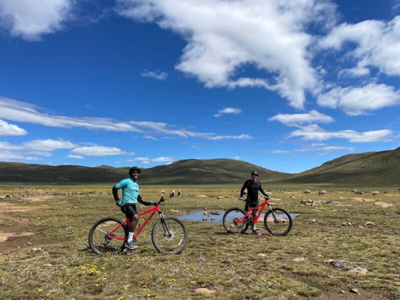Cycling Day Tour in Lesotho - Who Is This Tour Best For?