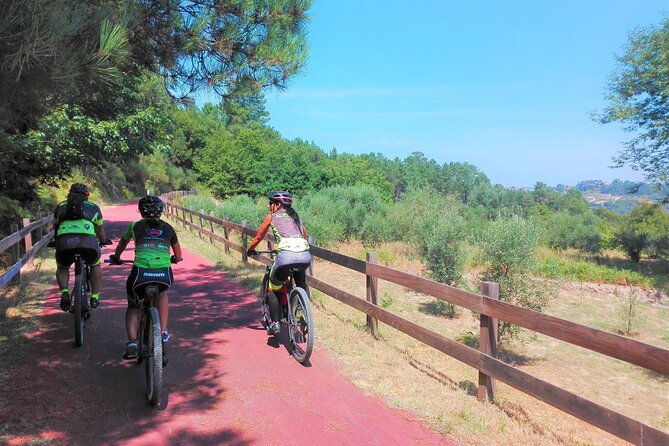 cycling-ecopista-do-dao-one-way-full-day-from-coimbra