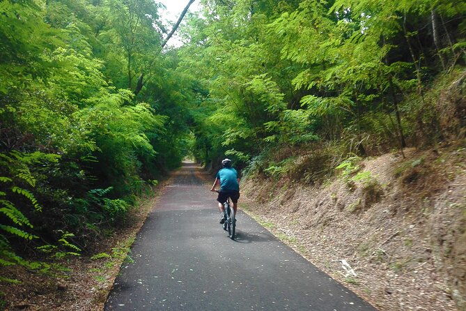 cycling-ecopista-do-dao-one-way-full-day-from-coimbra
