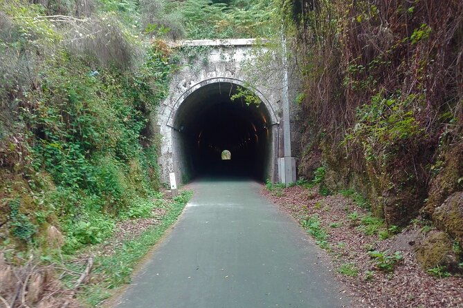 cycling-ecopista-do-dao-one-way-full-day-from-coimbra