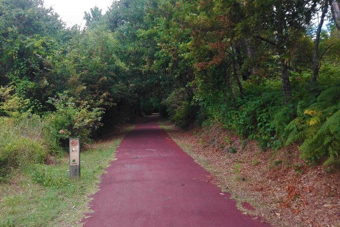 cycling-ecopista-do-dao-one-way-full-day-from-coimbra