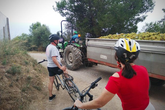 cycling-for-vino-bike-ride-from-sitges-barcelona-with-hotel-pick-up