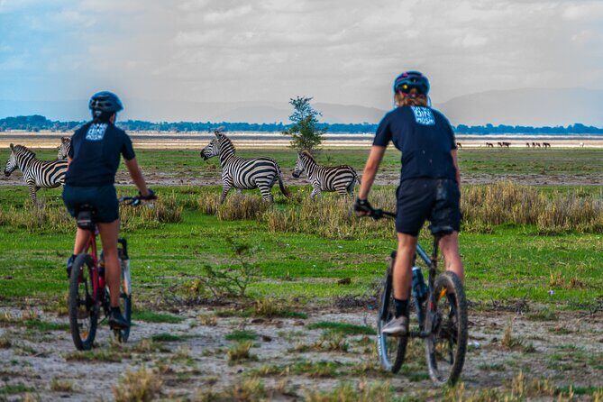 Cycling from Kilimanjaro to Ngorongoro Crater - The Itinerary Unpacked: What to Expect Each Day