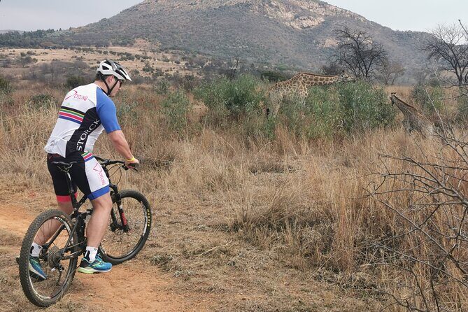 Cycling in a Forest close to Johannesburg and Pretoria - Why Consider This Cycling Tour?