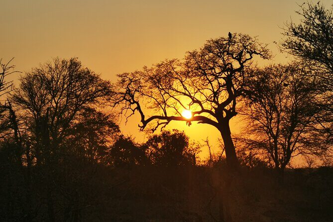 Cycling in a Forest close to Johannesburg and Pretoria - The Sum Up