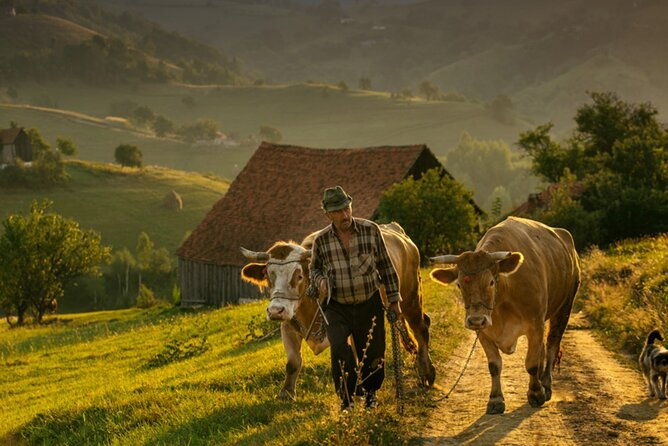 cycling-in-transylvania