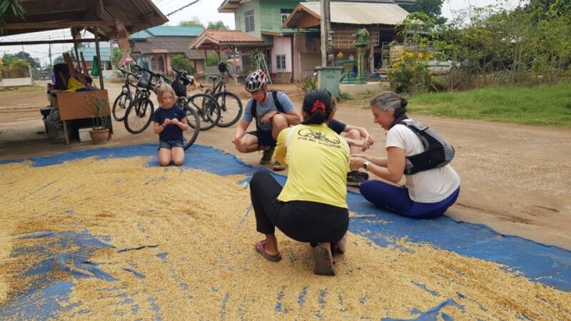 Cycling Sukhothai Full Day Countryside Tour - Authentic Experiences That Shine Through
