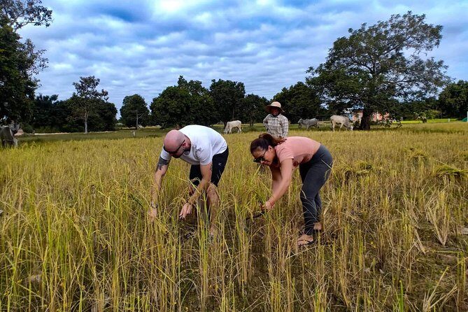 Cycling the Angkor Temples - Siem Reap Daily Cycling Tours - The Sum Up