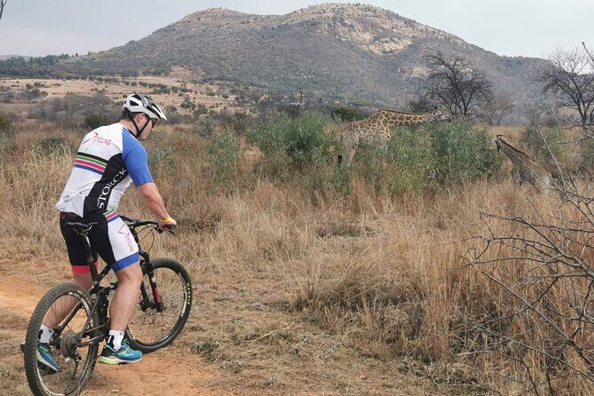 Cycling The Cradle of Humankind in Game Reserve - An In-Depth Look at the Tour Experience